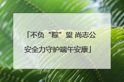 不负“粽”望 尚志公安全力守护端午安康