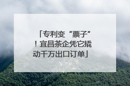 专利变“票子”！宜昌茶企凭它撬动千万出口订单