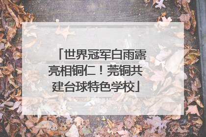 世界冠军白雨露亮相铜仁！莞铜共建台球特色学校
