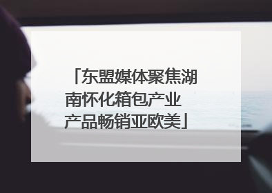 东盟媒体聚焦湖南怀化箱包产业 产品畅销亚欧美