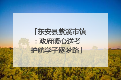 东安县紫溪市镇：政府暖心送考 护航学子逐梦路