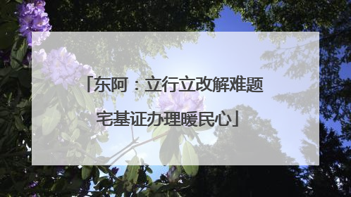东阿：立行立改解难题 宅基证办理暖民心
