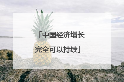 中国经济增长完全可以持续