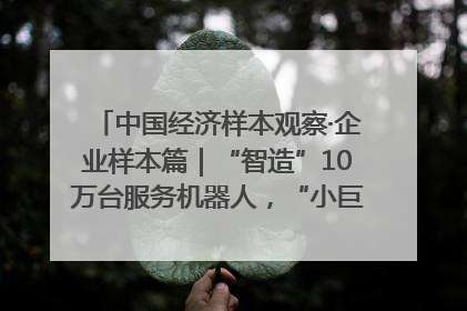 中国经济样本观察·企业样本篇｜“智造”10万台服务机器人，“小巨人”擎朗有大梦想