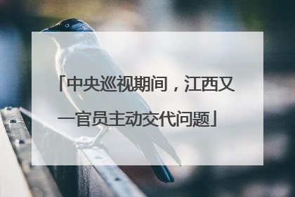 中央巡视期间，江西又一官员主动交代问题