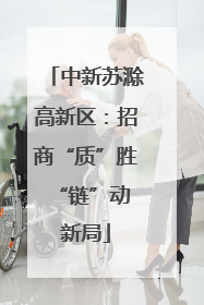 中新苏滁高新区：招商“质”胜 “链”动新局