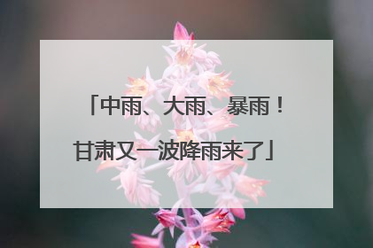 中雨、大雨、暴雨！甘肃又一波降雨来了