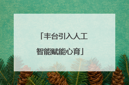 丰台引入人工智能赋能心育