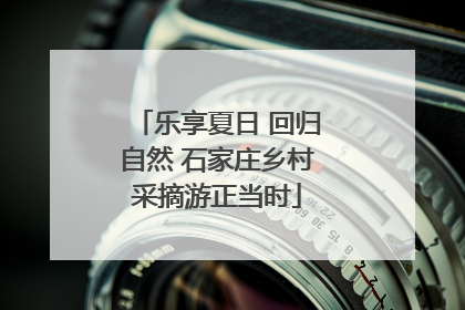 乐享夏日 回归自然 石家庄乡村采摘游正当时