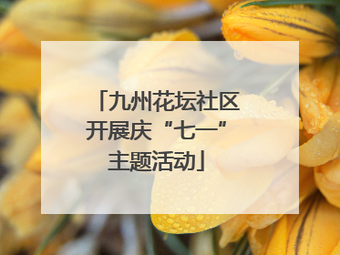 九州花坛社区开展庆“七一”主题活动