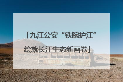 九江公安“铁腕护江”绘就长江生态新画卷