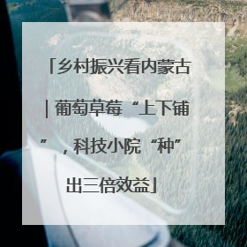 乡村振兴看内蒙古｜葡萄草莓“上下铺”，科技小院“种”出三倍效益