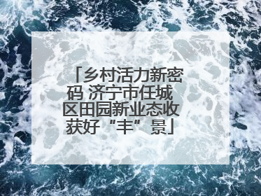 乡村活力新密码 济宁市任城区田园新业态收获好“丰”景