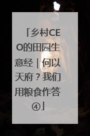 乡村CEO的田园生意经｜何以天府？我们用粮食作答④