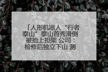 人形机器人“行者泰山”泰山首秀滑倒被抬上担架 公司：检修后独立下山 测试就是为暴露问题