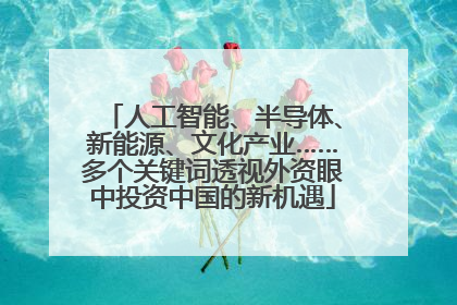 人工智能、半导体、新能源、文化产业……多个关键词透视外资眼中投资中国的新机遇