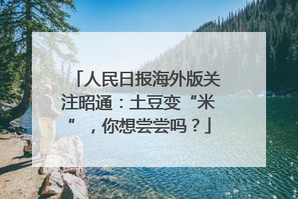 人民日报海外版关注昭通：土豆变“米”，你想尝尝吗？