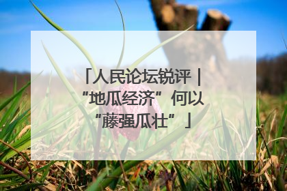 人民论坛锐评｜“地瓜经济”何以“藤强瓜壮”