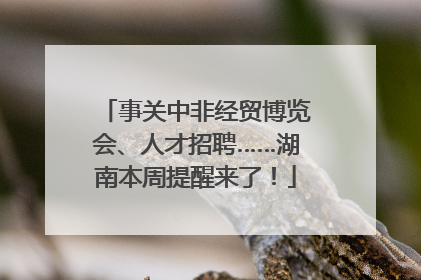 事关中非经贸博览会、人才招聘……湖南本周提醒来了！