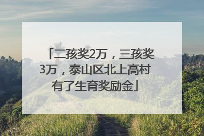 二孩奖2万，三孩奖3万，泰山区北上高村有了生育奖励金