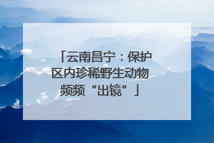 云南昌宁：保护区内珍稀野生动物频频“出镜”