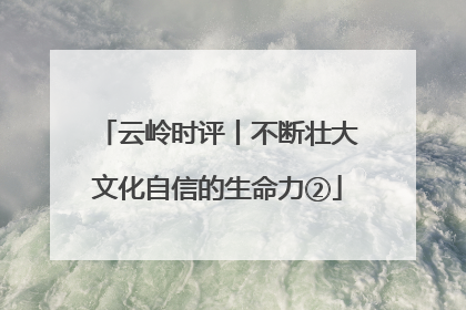 云岭时评丨不断壮大文化自信的生命力②