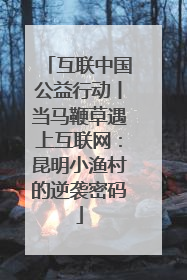 互联中国公益行动丨当马鞭草遇上互联网：昆明小渔村的逆袭密码