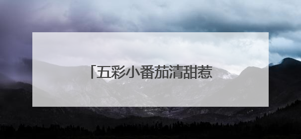 五彩小番茄清甜惹人爱，武汉种博会上好多“尖板眼”
