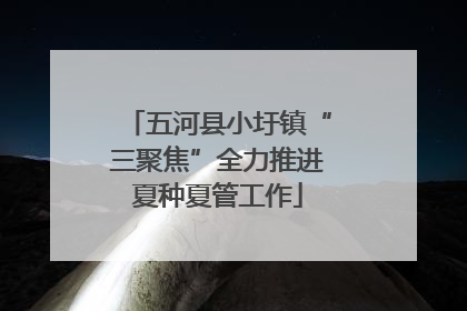 五河县小圩镇“三聚焦”全力推进夏种夏管工作