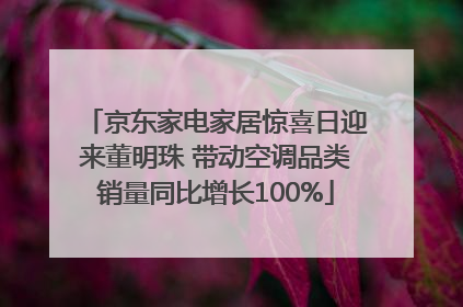 京东家电家居惊喜日迎来董明珠 带动空调品类销量同比增长100%
