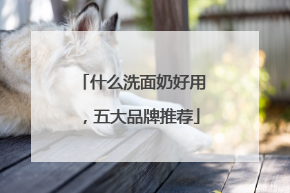 什么洗面奶好用，五大品牌推荐