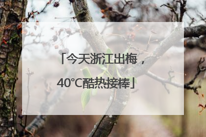 今天浙江出梅，40℃酷热接棒