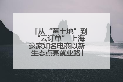 从“黄土地”到“云订单” 上海这家知名电商以新生态点亮就业路