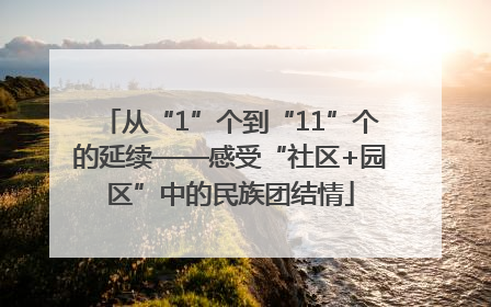 从“1”个到“11”个的延续——感受“社区+园区”中的民族团结情