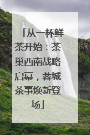 从一杯鲜茶开始：茶巢西南战略启幕，蓉城茶事焕新登场