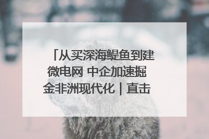从买深海鳀鱼到建微电网 中企加速掘金非洲现代化｜直击中非经贸博览会