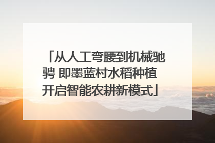 从人工弯腰到机械驰骋 即墨蓝村水稻种植开启智能农耕新模式