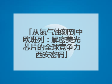 从氮气蚀刻到中欧班列：解密美光芯片的全球竞争力西安密码