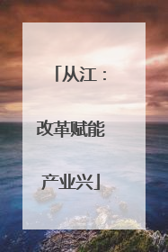 从江：改革赋能产业兴