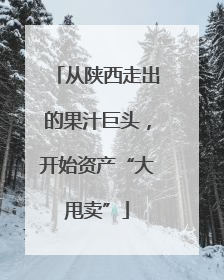 从陕西走出的果汁巨头，开始资产“大甩卖”