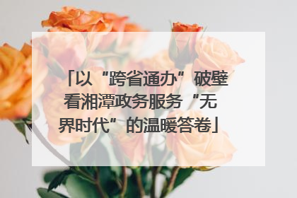 以“跨省通办”破壁 看湘潭政务服务“无界时代”的温暖答卷