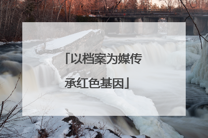 以档案为媒传承红色基因
