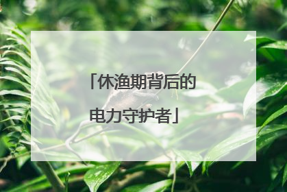 休渔期背后的电力守护者