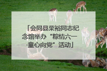 会同县粟裕同志纪念馆举办“粽情六一·童心向党”活动