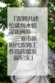 双拥共建绘就鱼水情深新画卷——三亚市新时代双拥工作高质量发展纪实