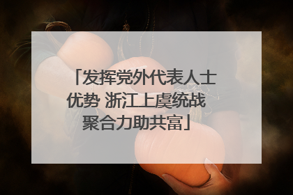 发挥党外代表人士优势 浙江上虞统战聚合力助共富