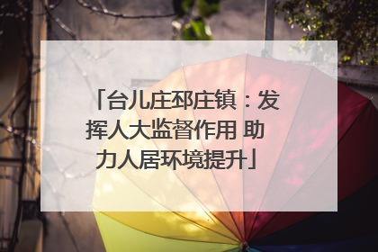 台儿庄邳庄镇：发挥人大监督作用 助力人居环境提升