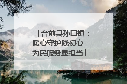 台前县孙口镇：暖心守护践初心 为民服务显担当