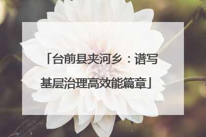 台前县夹河乡：谱写基层治理高效能篇章