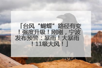 台风“蝴蝶”路径有变！强度升级！刚刚，宁波发布预警：暴雨！大暴雨！11级大风！